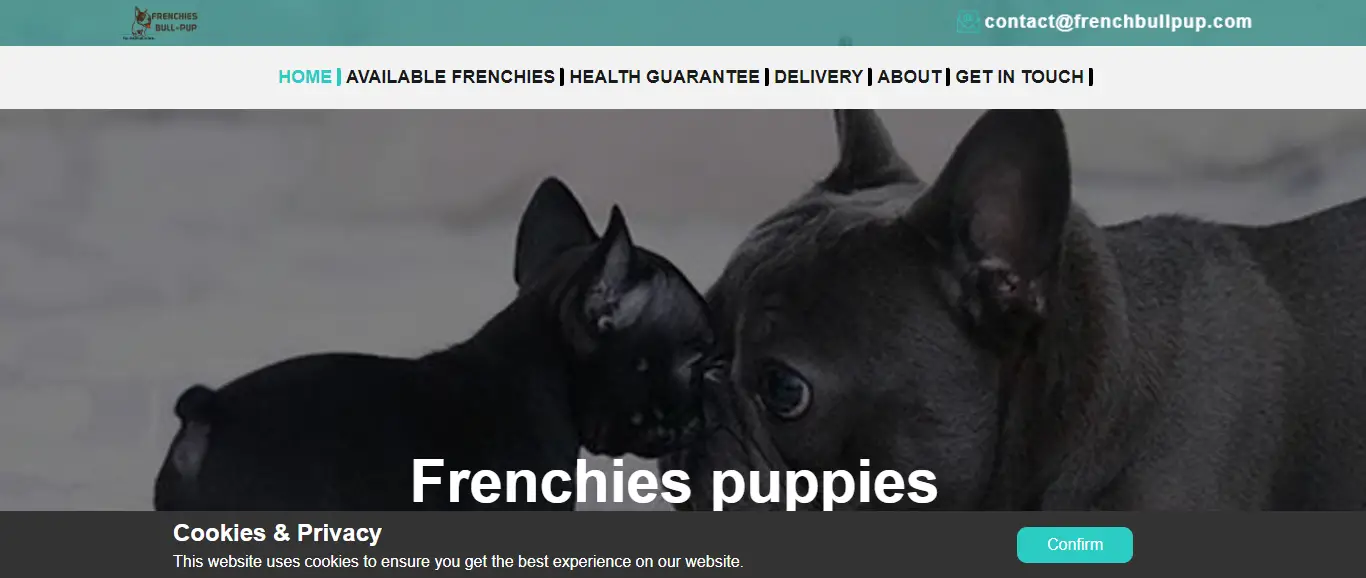 Frenchbullpup.com Reviews 2022: Scam Or Legit Puppy Store? Find Out!