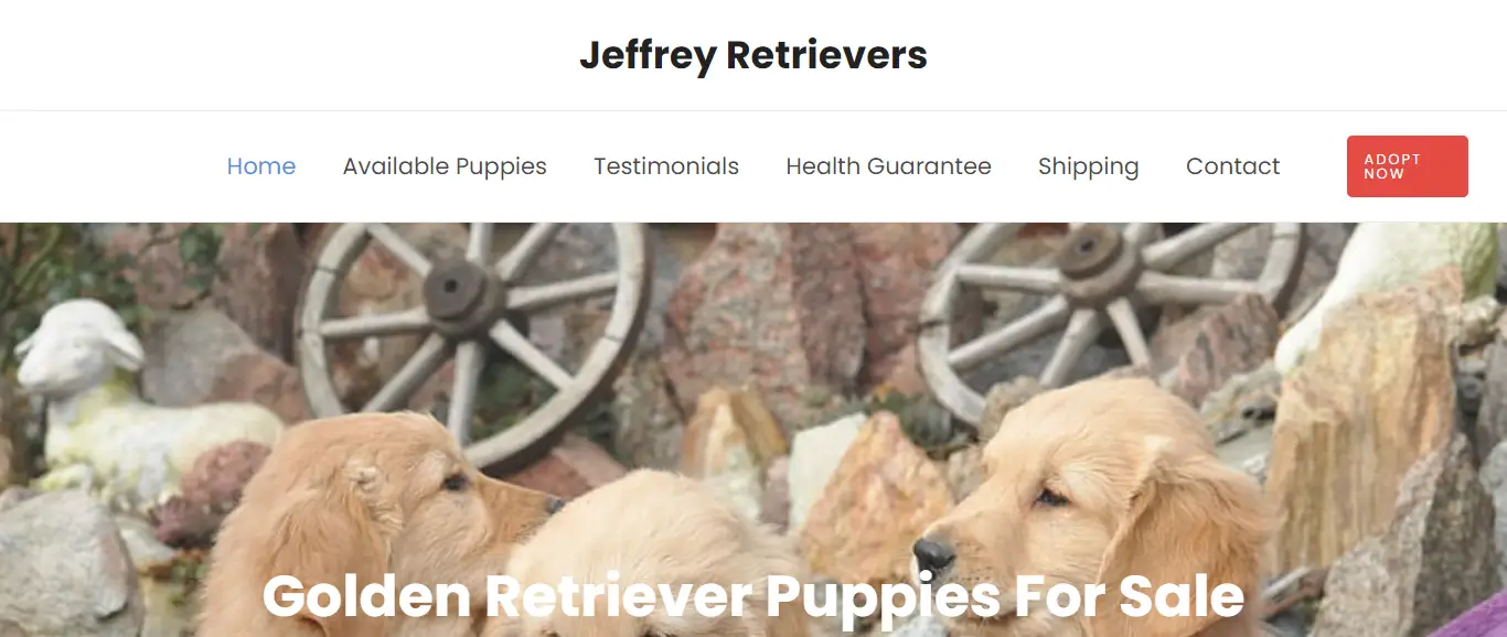 Jeffreyretrievers