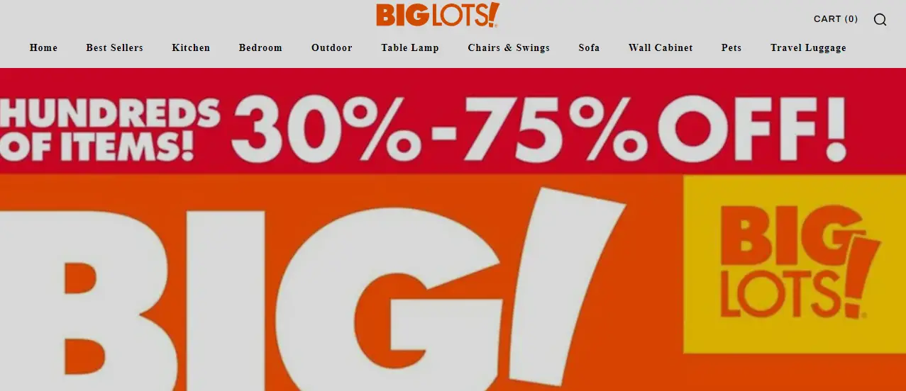 Biglots Stores Com Reviews Don T Become Their Victim   Lot 