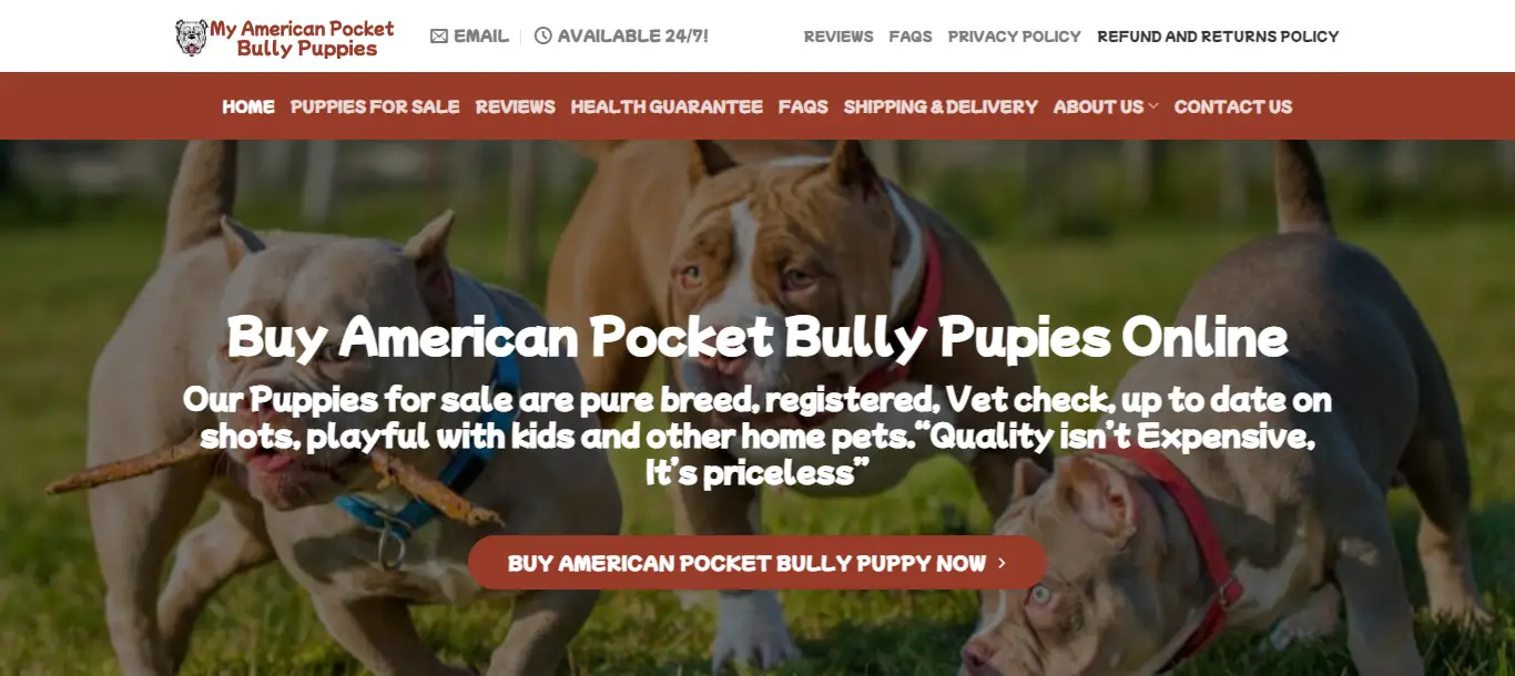 Myamericanpocketbullypuppies