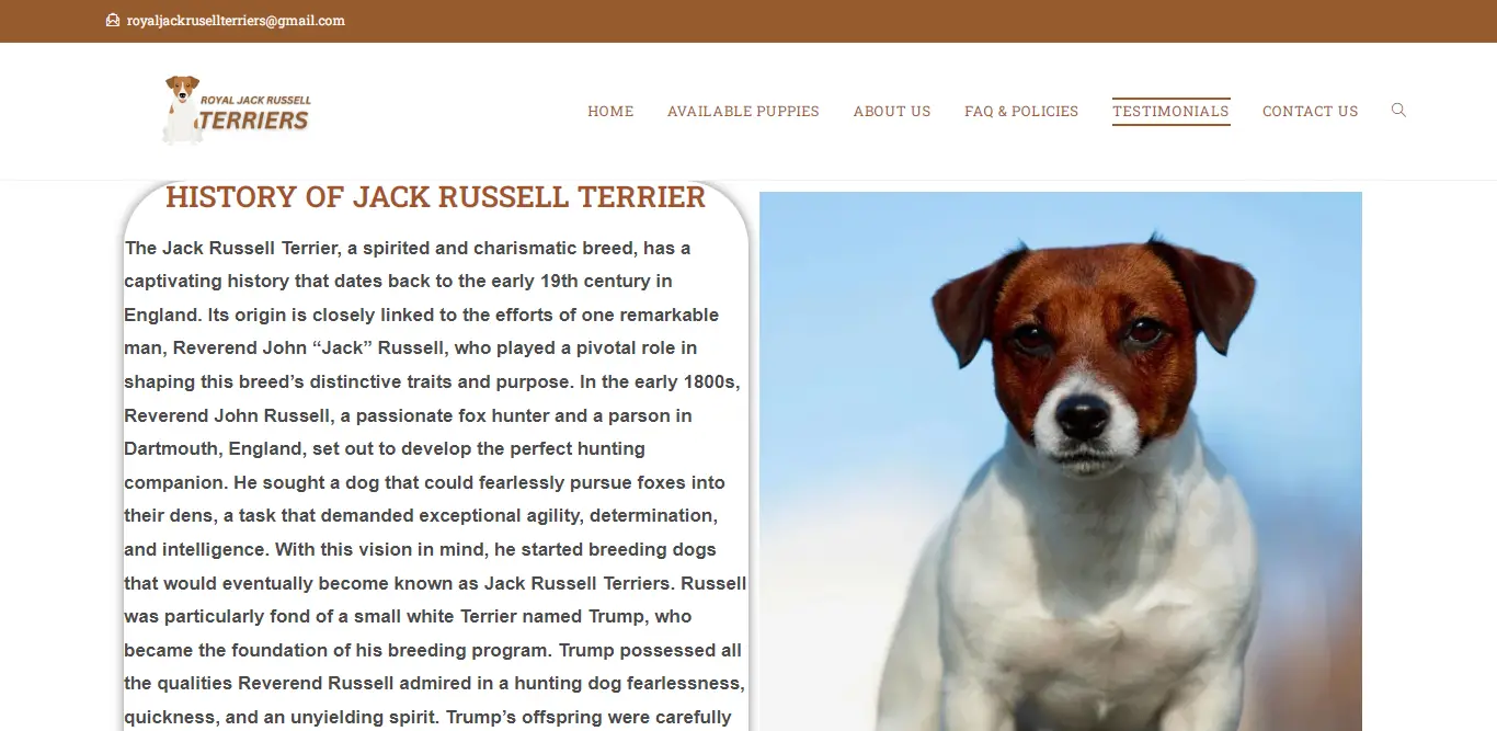 Royaljackrussellterriers